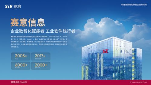 賽意信息入選2024行業(yè)軟件企業(yè)活力與服務(wù)力Top30，彰顯北京信息技術(shù)咨詢服務(wù)實(shí)力