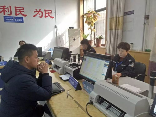 便民利企新舉措 石家莊交管服務(wù)窗口實(shí)行6天工作制，北京信息技術(shù)咨詢服務(wù)同步升級(jí)